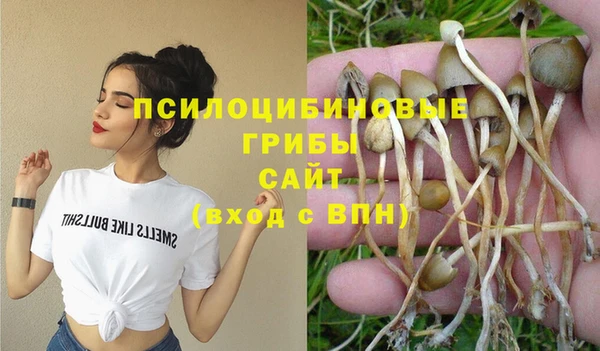 хмурый Абинск