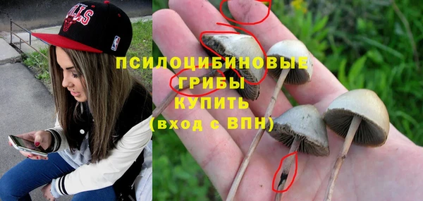 стаф Абдулино